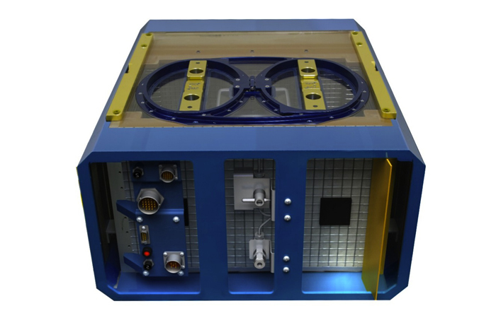 Rats in Spaaace! NASA Wants to Put Rodents on Space Station
